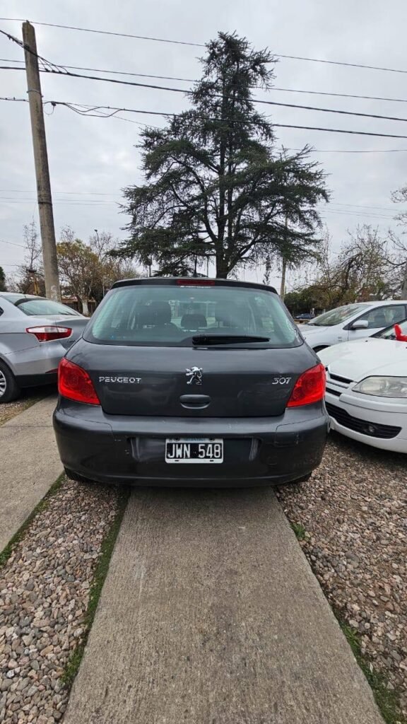 Peugeot-307-XS-2011_02