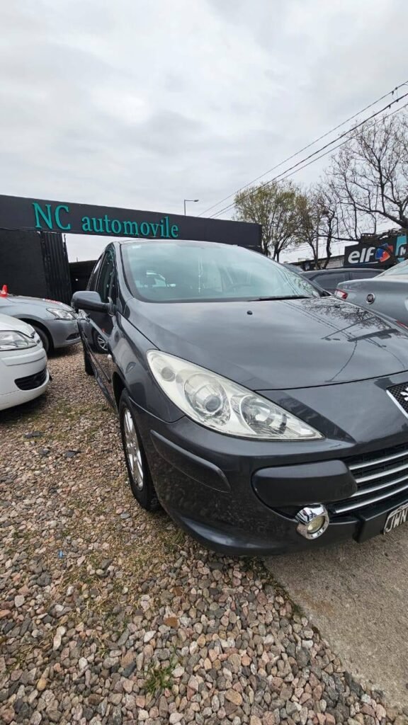 Peugeot-307-XS-2011_04