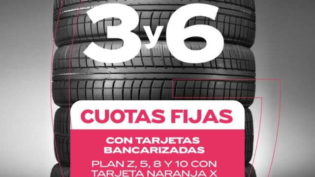 gran_variedad_de_neumaticos