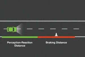 Infografía que explica la distancia total de detención, dividida en la distancia de reacción (tiempo de respuesta del conductor) y la distancia de frenado (física).