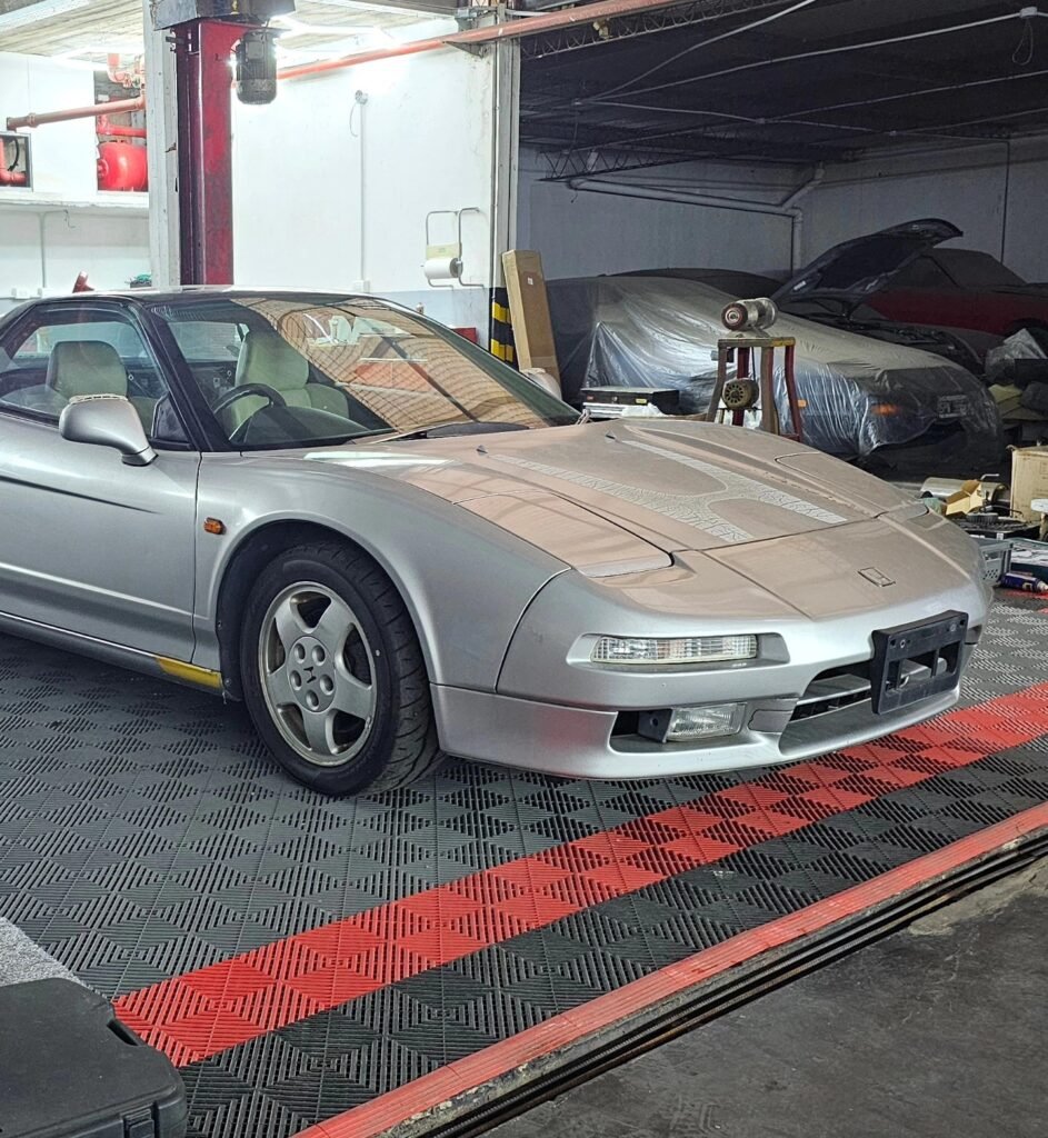 recien_llegado_nueva_importacion_003