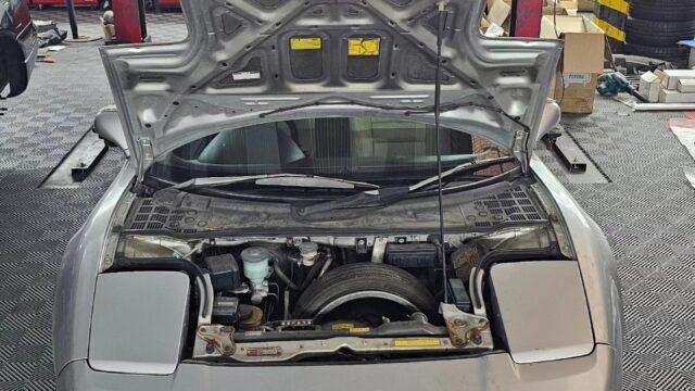 recien_llegado_nueva_importacion_005