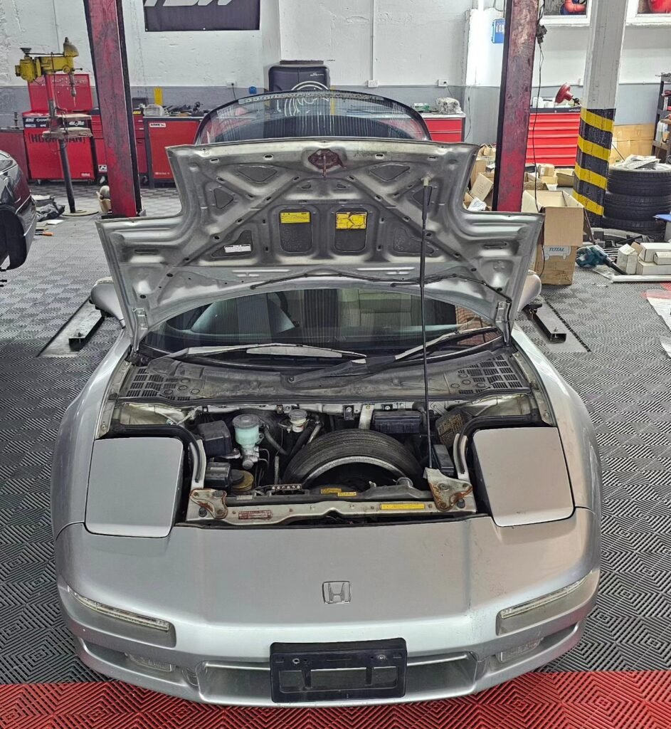 recien_llegado_nueva_importacion_005