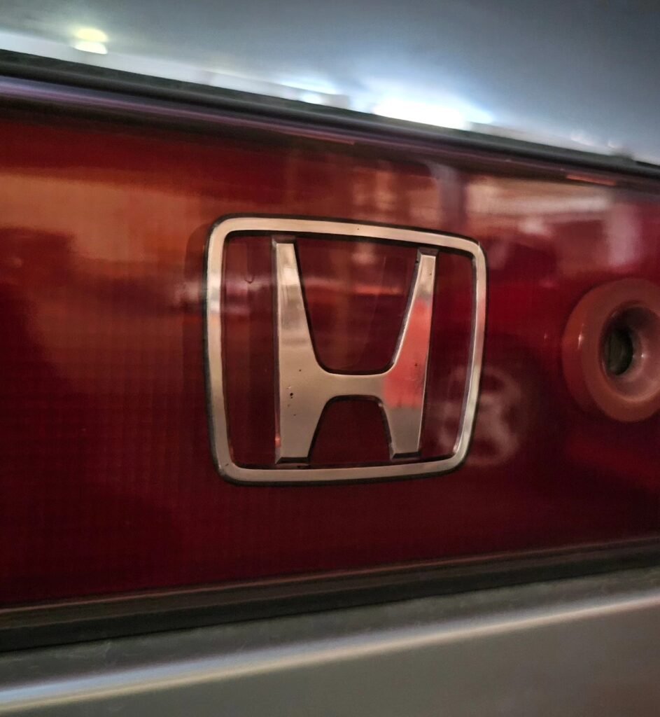 recien_llegado_nueva_importacion_007