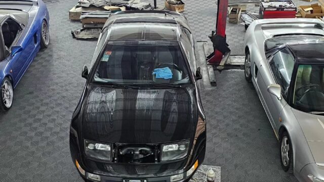 recien_llegado_nueva_importacion_008