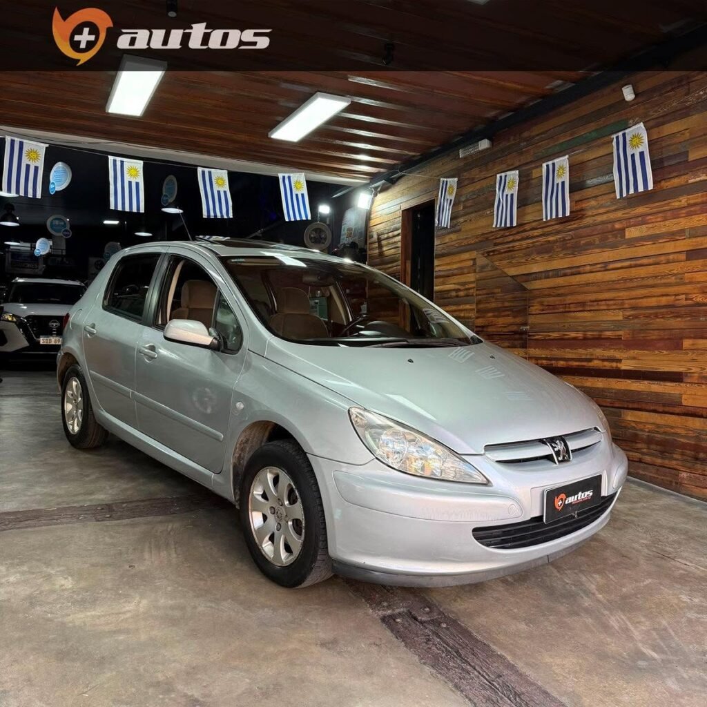 Peugeot_307_XT_2-0_001