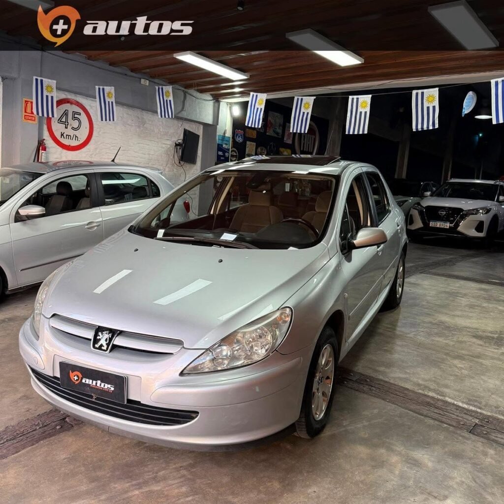 Peugeot_307_XT_2-0_002
