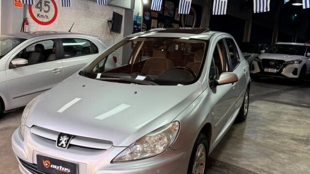 Peugeot_307_XT_2-0_002