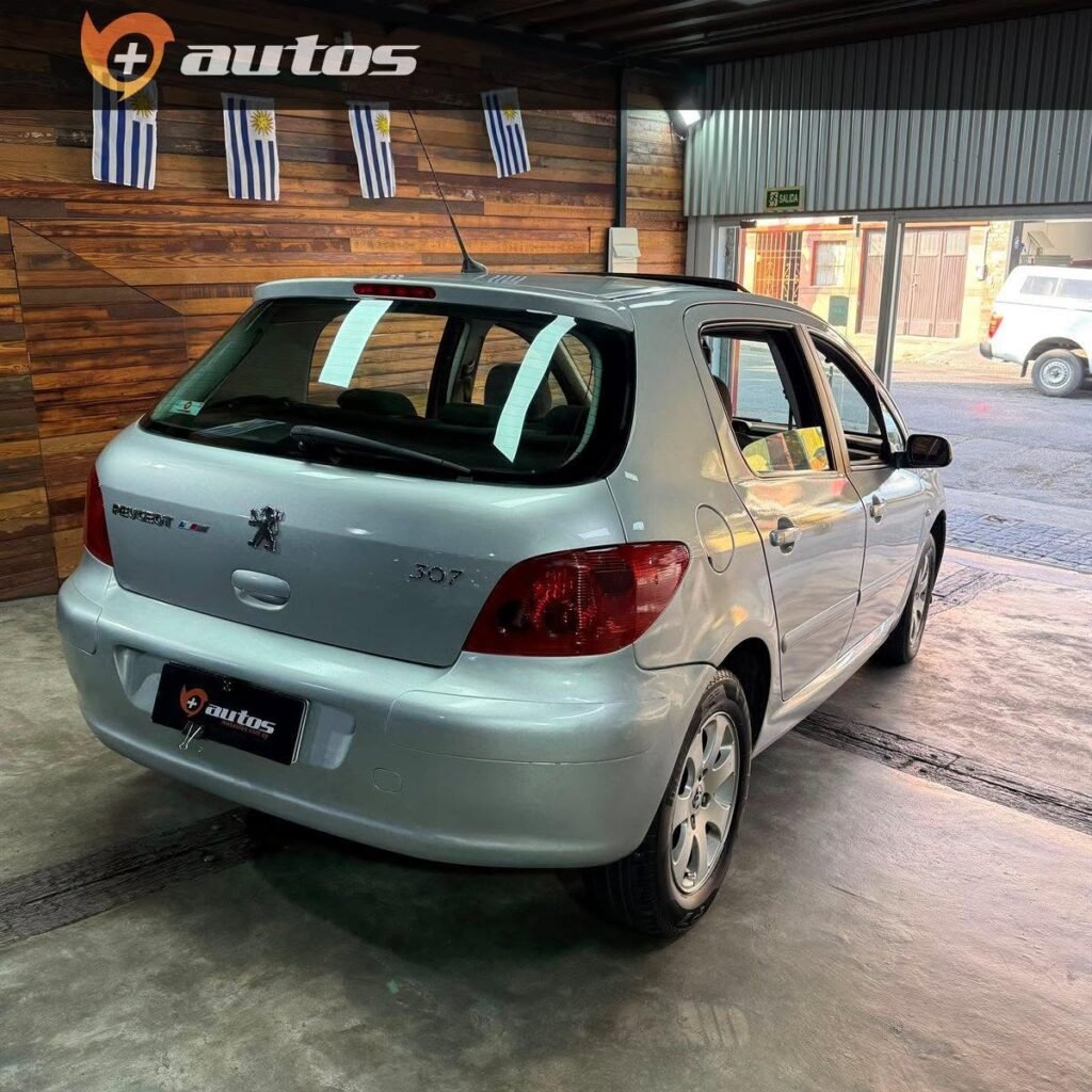 Peugeot_307_XT_2-0_003