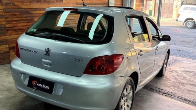Peugeot_307_XT_2-0_003