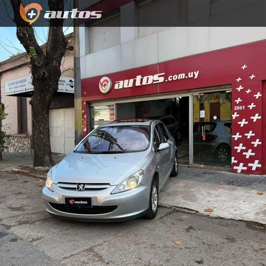 Peugeot_307_XT_2-0_009