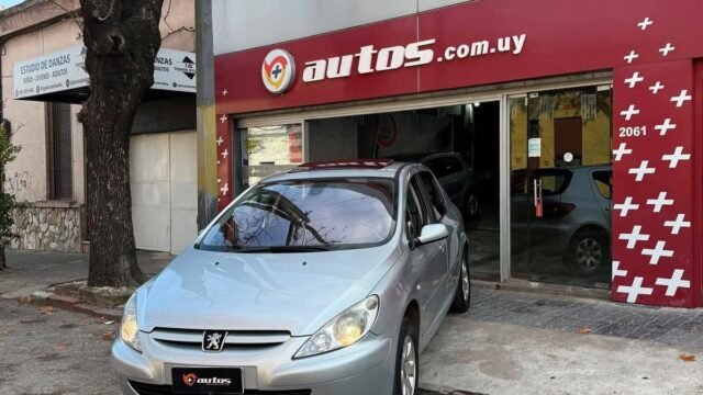 Peugeot_307_XT_2-0_009